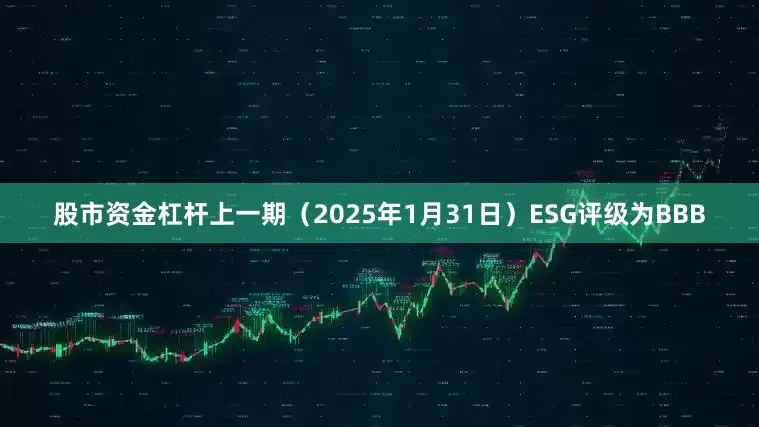 股市资金杠杆上一期（2025年1月31日）ESG评级为BBB