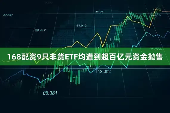 168配资9只非货ETF均遭到超百亿元资金抛售